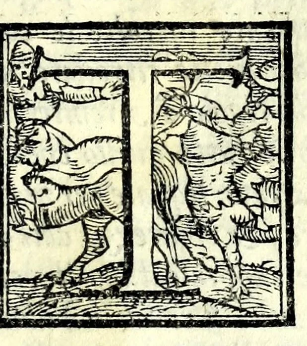 An illustration from Le antichità della città di Roma : raccolte sotto brevità da diuersi antichi & moderni scrittori, 1569, leaf 17