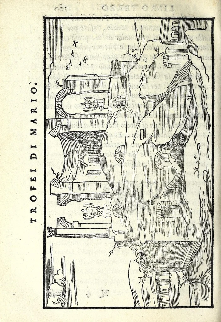 An illustration from Le antichità della città di Roma : raccolte sotto brevità da diuersi antichi & moderni scrittori, 1569, leaf 222