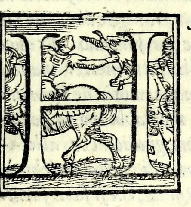 An illustration from Le antichità della città di Roma : raccolte sotto brevità da diuersi antichi & moderni scrittori, 1569, leaf 355
