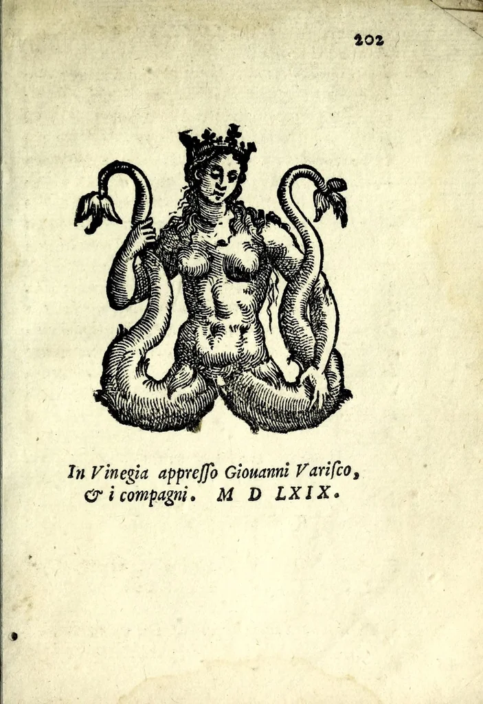 An illustration from Le antichità della città di Roma : raccolte sotto brevità da diuersi antichi & moderni scrittori, 1569, leaf 425
