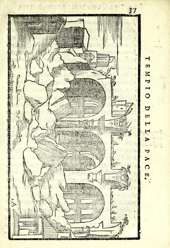 An illustration from Le antichità della città di Roma : raccolte sotto brevità da diuersi antichi & moderni scrittori, 1569, leaf 95