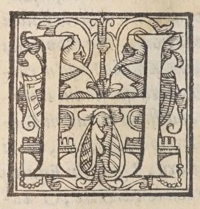 An illustration from Le antichità della citta di Roma, raccolte sotto brevita da diuersi antichi & moderni scrittori,, 1580, leaf 326