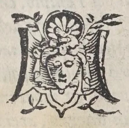 An illustration from Le antichità della citta di Roma, raccolte sotto brevita da diuersi antichi & moderni scrittori,, 1580, leaf 344