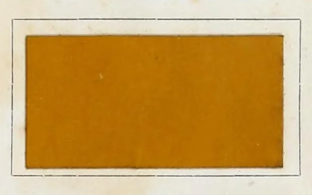 An illustration from Leather dressing, including dyeing, staining and finishing, 1907, leaf 473