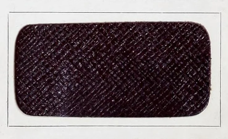 An illustration from Leather dressing, including dyeing, staining and finishing, 1907, leaf 489