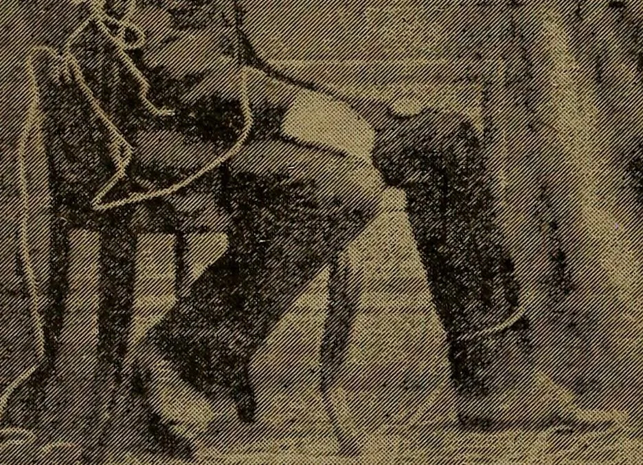 An illustration from Leaves from conjurers' scrap books, or, Modern magicians and their works, 1891, leaf 47