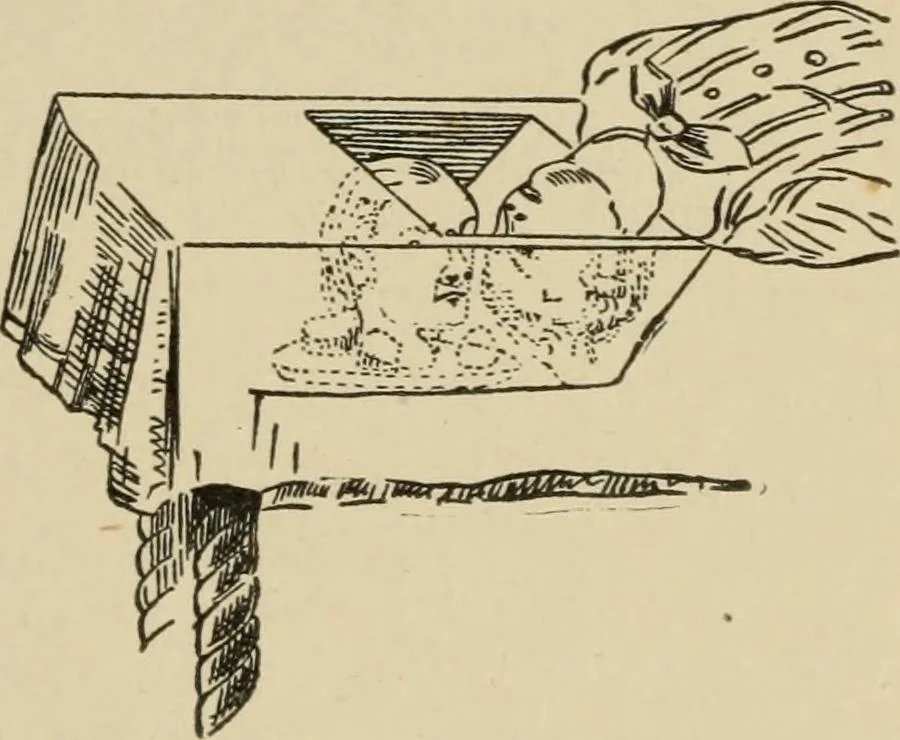 An illustration from Leaves from conjurers' scrap books : or, Modern magicians and their works, 1891, leaf 170