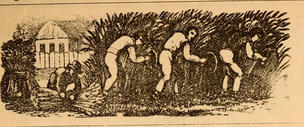 An illustration from Leavitt's farmer's almanack, improved, and miscellaneous year book, for the year of our Lord 1885, 1884, leaf 20
