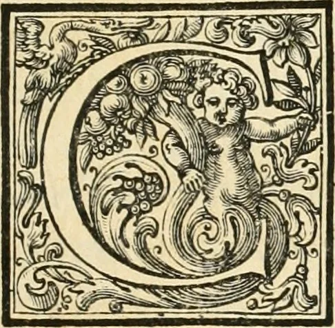 An illustration from Le belle arti, pittura, scultura, e architettura, compimento, e perfezione delle bellezze dell'universo mostrate nel Campidoglio dall'Accademia del disegno il d ì 24. settembre 1711 : essendo principe della medesima il sig. cavalier Carlo Maratti e viceprincipe il signor cavalier Carlo Francesco Person, 1711, leaf 6