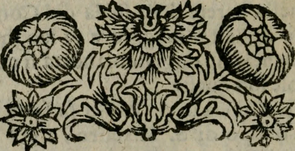 An illustration from Le bellezze della città di Firenze, dove a pieno di pittura, di scultura, di sacri templi, di palazzi, i più notabili artifizj, e più preziosi si contengono, 1677, leaf 637