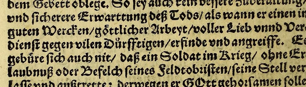 An illustration from Leben, Francisci Borgiæ, dritten Generals der Societet Jesu., 1613, leaf 236