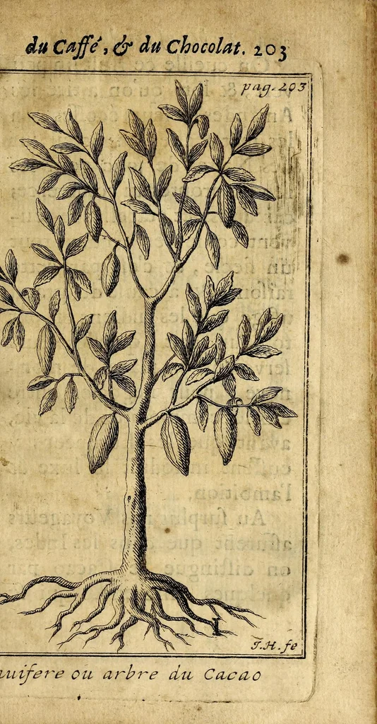 An illustration from Le bon usage du thé, du caffé et du chocolat pour la preservation & pour la guerison des maladies., 1687, leaf 221