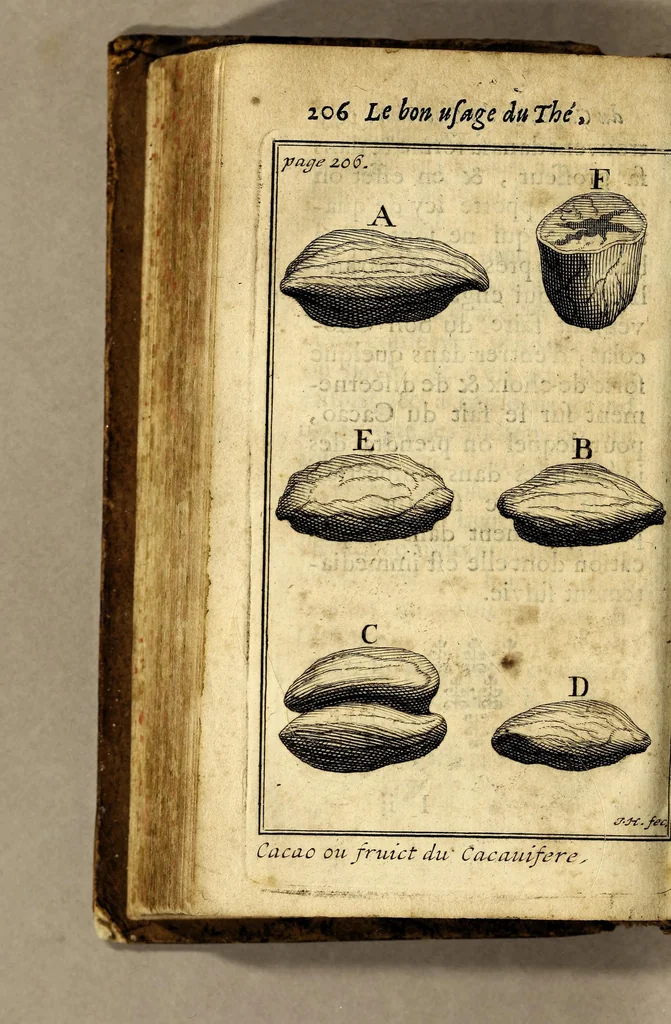 An illustration from Le bon usage du thé, du caffé et du chocolat pour la preservation & pour la guerison des maladies., 1687, leaf 224