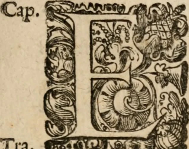 An illustration from Le bravvre del capitano Spavento, divise in molti ragionamenti in forma di dialogo, 1618, leaf 100