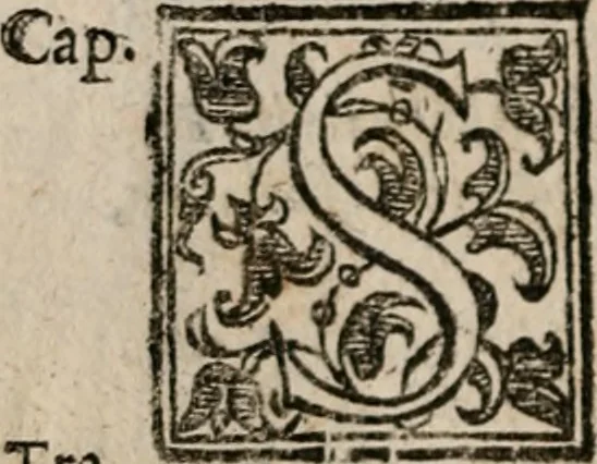 An illustration from Le bravvre del capitano Spavento, divise in molti ragionamenti in forma di dialogo, 1618, leaf 103