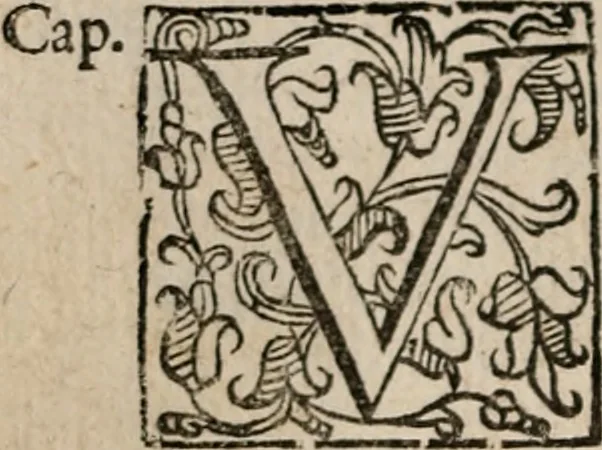 An illustration from Le bravvre del capitano Spavento, divise in molti ragionamenti in forma di dialogo, 1618, leaf 107