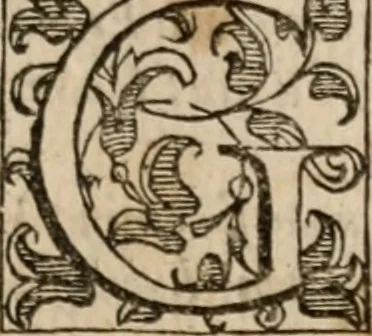 An illustration from Le bravvre del capitano Spavento, divise in molti ragionamenti in forma di dialogo, 1618, leaf 110