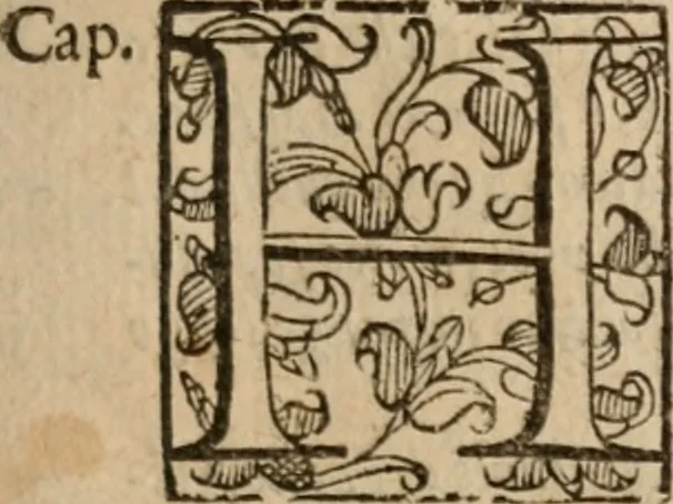 An illustration from Le bravvre del capitano Spavento, divise in molti ragionamenti in forma di dialogo, 1618, leaf 114