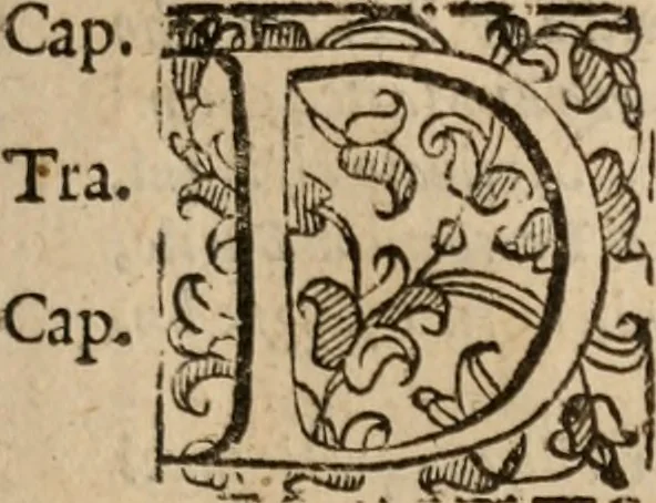 An illustration from Le bravvre del capitano Spavento, divise in molti ragionamenti in forma di dialogo, 1618, leaf 118