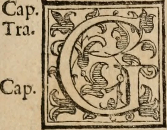 An illustration from Le bravvre del capitano Spavento, divise in molti ragionamenti in forma di dialogo, 1618, leaf 122