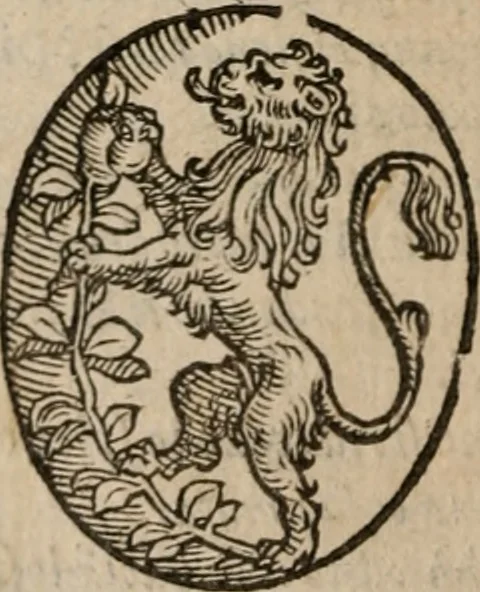 An illustration from Le bravvre del capitano Spavento, divise in molti ragionamenti in forma di dialogo, 1618, leaf 125