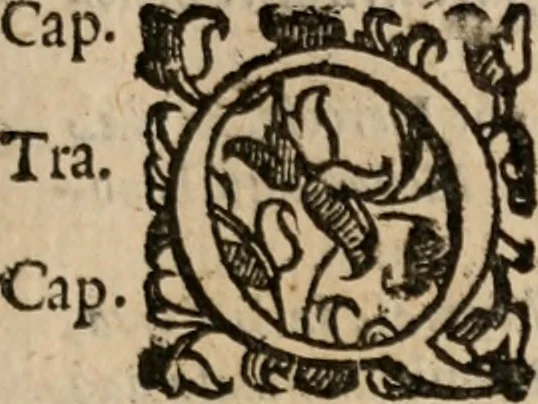 An illustration from Le bravvre del capitano Spavento, divise in molti ragionamenti in forma di dialogo, 1618, leaf 134