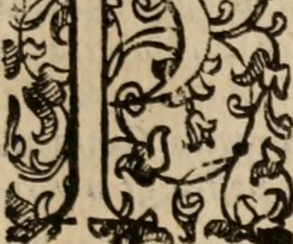 An illustration from Le bravvre del capitano Spavento, divise in molti ragionamenti in forma di dialogo, 1618, leaf 138