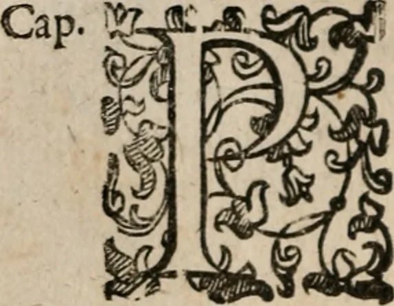 An illustration from Le bravvre del capitano Spavento, divise in molti ragionamenti in forma di dialogo, 1618, leaf 143