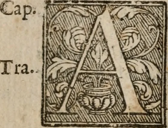 An illustration from Le bravvre del capitano Spavento, divise in molti ragionamenti in forma di dialogo, 1618, leaf 147
