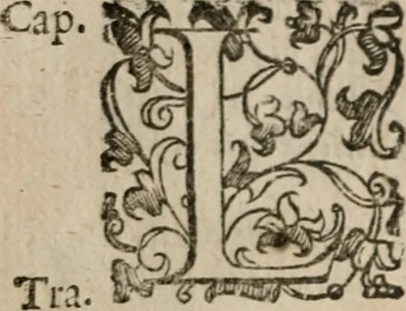 An illustration from Le bravvre del capitano Spavento, divise in molti ragionamenti in forma di dialogo, 1618, leaf 155
