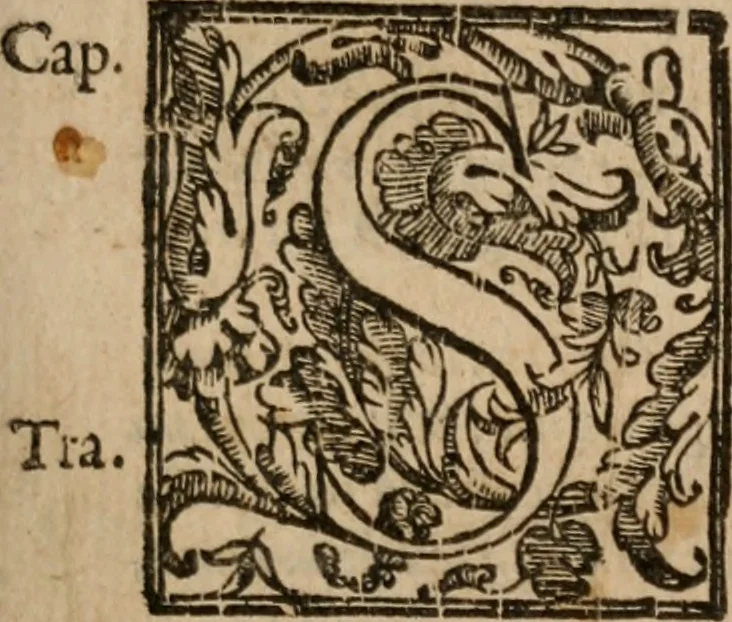 An illustration from Le bravvre del capitano Spavento, divise in molti ragionamenti in forma di dialogo, 1618, leaf 16