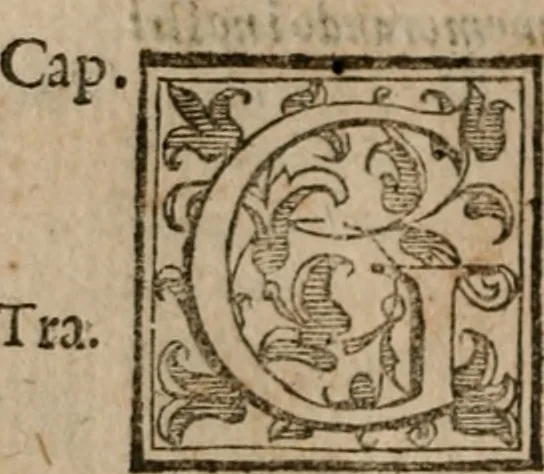 An illustration from Le bravvre del capitano Spavento, divise in molti ragionamenti in forma di dialogo, 1618, leaf 163