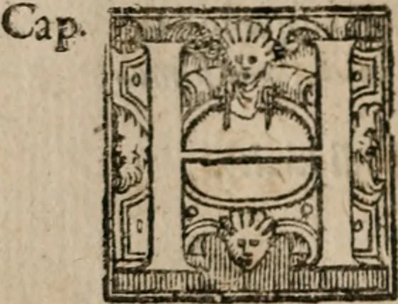 An illustration from Le bravvre del capitano Spavento, divise in molti ragionamenti in forma di dialogo, 1618, leaf 167