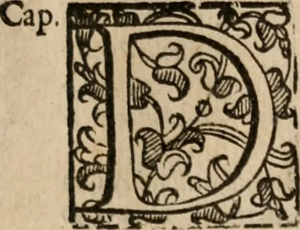 An illustration from Le bravvre del capitano Spavento, divise in molti ragionamenti in forma di dialogo, 1618, leaf 170