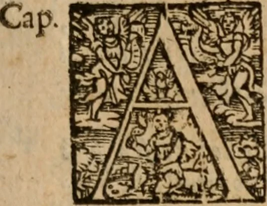 An illustration from Le bravvre del capitano Spavento, divise in molti ragionamenti in forma di dialogo, 1618, leaf 174