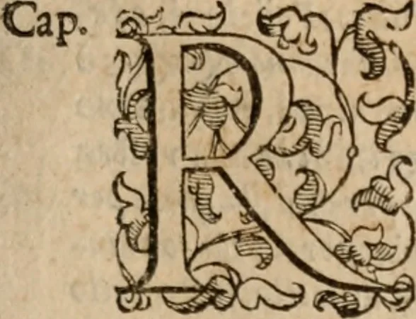 An illustration from Le bravvre del capitano Spavento, divise in molti ragionamenti in forma di dialogo, 1618, leaf 178