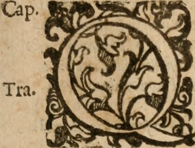An illustration from Le bravvre del capitano Spavento, divise in molti ragionamenti in forma di dialogo, 1618, leaf 182