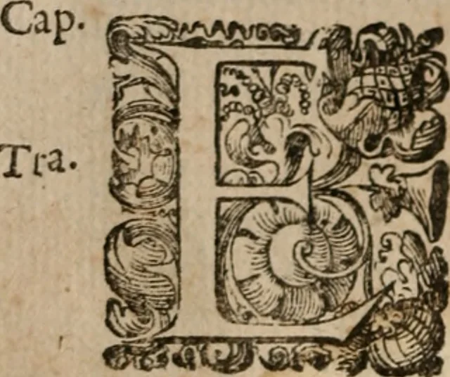 An illustration from Le bravvre del capitano Spavento, divise in molti ragionamenti in forma di dialogo, 1618, leaf 187