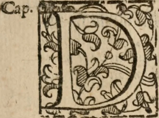 An illustration from Le bravvre del capitano Spavento, divise in molti ragionamenti in forma di dialogo, 1618, leaf 192