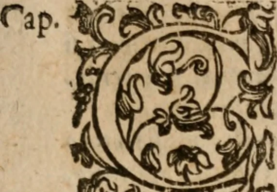 An illustration from Le bravvre del capitano Spavento, divise in molti ragionamenti in forma di dialogo, 1618, leaf 196