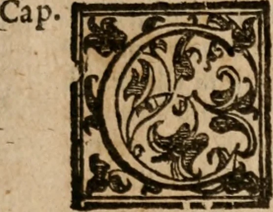 An illustration from Le bravvre del capitano Spavento, divise in molti ragionamenti in forma di dialogo, 1618, leaf 200