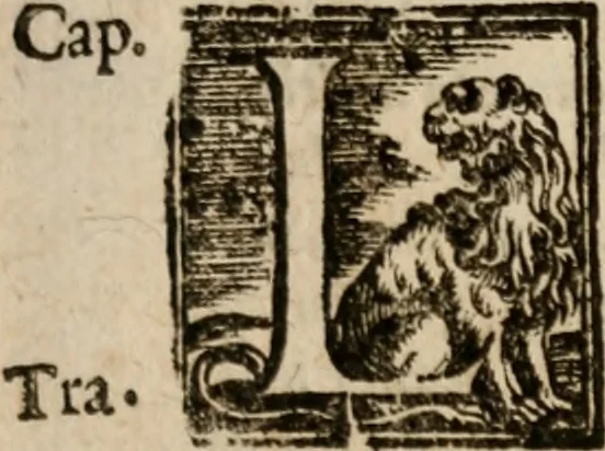 An illustration from Le bravvre del capitano Spavento, divise in molti ragionamenti in forma di dialogo, 1618, leaf 206