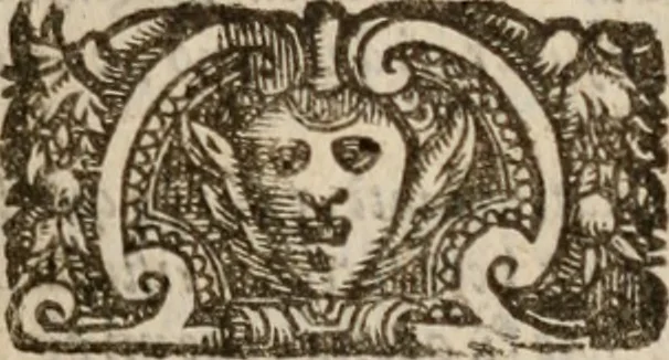 An illustration from Le bravvre del capitano Spavento, divise in molti ragionamenti in forma di dialogo, 1618, leaf 214