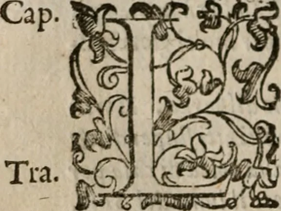 An illustration from Le bravvre del capitano Spavento, divise in molti ragionamenti in forma di dialogo, 1618, leaf 215