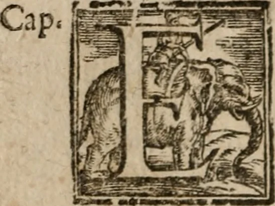An illustration from Le bravvre del capitano Spavento, divise in molti ragionamenti in forma di dialogo, 1618, leaf 219