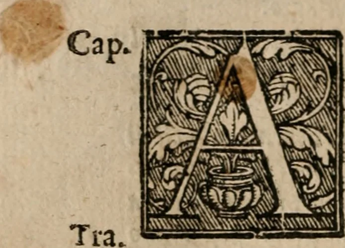 An illustration from Le bravvre del capitano Spavento, divise in molti ragionamenti in forma di dialogo, 1618, leaf 223