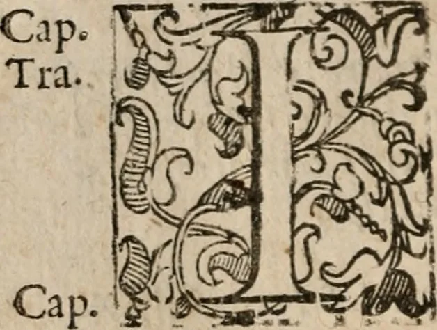 An illustration from Le bravvre del capitano Spavento, divise in molti ragionamenti in forma di dialogo, 1618, leaf 231