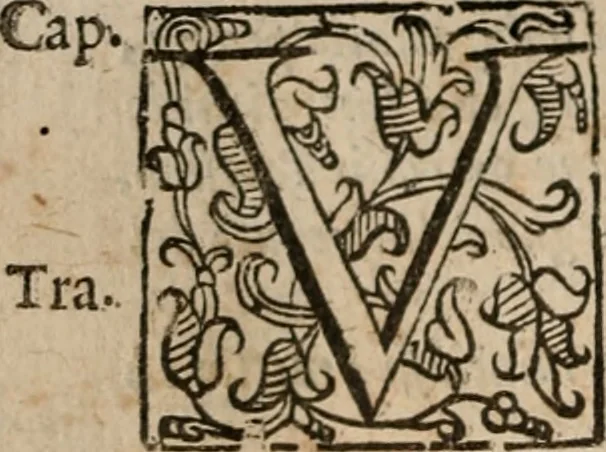 An illustration from Le bravvre del capitano Spavento, divise in molti ragionamenti in forma di dialogo, 1618, leaf 239