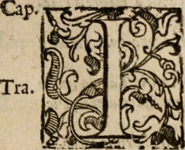 An illustration from Le bravvre del capitano Spavento, divise in molti ragionamenti in forma di dialogo, 1618, leaf 24