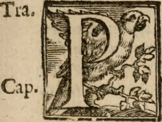 An illustration from Le bravvre del capitano Spavento, divise in molti ragionamenti in forma di dialogo, 1618, leaf 248
